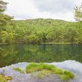 標高2000メートル超の天然湖　苔むす原生林に囲まれた白駒池　奥蓼科【日本の涼景】（2）