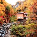 【紅葉の秘湯】源流の宿に思う人の温もり　山形・大平温泉 滝見屋（1）