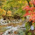 【紅葉の秘湯】足元から湧く湯の恵みを実感　福島・二岐温泉　大丸あすなろ荘（2）