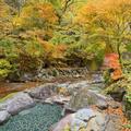 【紅葉の秘湯】足元から湧く湯の恵みを実感　福島・二岐温泉　大丸あすなろ荘（1）