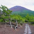 【登らない富士山】「富士下山」御中道－奥庭ルート＜山梨＞（1）