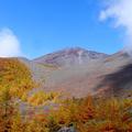 【登らない富士山】“富士下山”富士山の知られざる魅力に出合う自然旅行