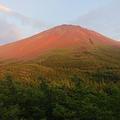 【登らない富士山】「富士下山」御中道－奥庭ルート＜山梨＞（2）