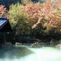 【紅葉の秘湯】秘湯ファン憧れの広大な露天風呂　大分・筌の口温泉　旅館 新清館