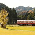 【鉄道ひとり旅】ローカル線で房総の駅弁と温泉を満喫（2）小湊鐵道～いすみ鉄道