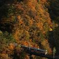 【鉄道ひとり旅】奥羽山中の錦秋湖から田沢湖線経由で紅葉三昧（2）北上線－奥羽線－田沢湖線