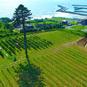 春満開の福島県全域で、プレデスティネーションキャンペーン開催中！