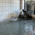 【ひなびた温泉】〝マー鯉〞の吠えるが如しの源泉かけ流し　はやぶさ温泉＜山梨＞