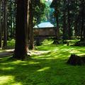 【新・日本の絶景】境内に広がる苔の美しさで知られる「平泉寺白山神社」