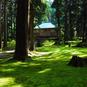 【新・日本の絶景】境内に広がる苔の美しさで知られる「平泉寺白山神社」