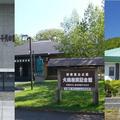 【いま、会える昭和】昭和の大相撲を支えた北海道出身の名横綱の足跡をたどる