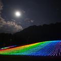 白山一里野温泉スキー場で夏のイルミネーション。🌌ナイトゴンドラも運行🚡