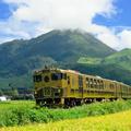 JR九州の観光列車「或る列車」が運行10周年。由布院～博多を走る“幻の列車”で極上のコース料理を味わう