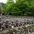 涼風が吹く奥嵯峨で、古社と名刹を訪ねる
