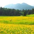 尾瀬号で手軽に尾瀬ハイクを
