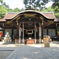 【伊東潤の 英雄たちを旅する】第14回　武田信玄と甲府