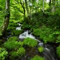 名水と涼景を求めて鳥取へ　“ひんやり” 夏の大山山麓めぐり（1）