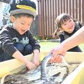 夏はやっぱりうなぎ！案内付きで養鰻場を見学！10月下旬まで開催