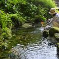 名水と涼景を求めて鳥取へ　“ひんやり” 夏の大山山麓めぐり（2）