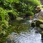 名水と涼景を求めて鳥取へ　“ひんやり” 夏の大山山麓めぐり（2）