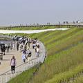 【大阪・関西万博】コラム　多様でありながら、ひとつ「大屋根リング」に込めた思い
