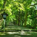 金沢の“お隣”白山さんを目指す 双六の旅＜石川県白山市＞