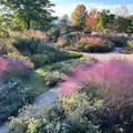 紅葉と秋の草花、秘湯も＜中之条町＞