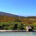 【一度は見たい紅葉百景】“神の絨毯”と称される山岳紅葉360度の大パノラマが待つ　栗駒山（2）