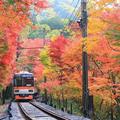 【一度は見たい紅葉百景】京都もみじ電車 ～叡山電車・嵯峨野トロッコ列車～