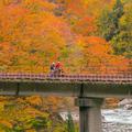 【一度は見たい紅葉百景】渓谷のダイナミックな紅葉と北アルプスの大パノラマを楽しむ　飛騨（1）