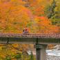 【一度は見たい紅葉百景】渓谷のダイナミックな紅葉と北アルプスの大パノラマを楽しむ　飛騨（1）