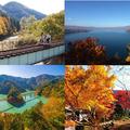 【一度は見たい紅葉百景】日本の秋を彩る紅葉＜乗り物編5選＞