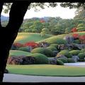 【一度は見たい紅葉百景】日本の秋を彩る紅葉<寺社・庭園編8選>