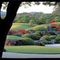【一度は見たい紅葉百景】日本の秋を彩る紅葉<寺社・庭園編8選>