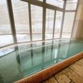 【はじめてのひとり旅の宿】友家ホテル ＜新潟・大湯温泉＞ おこもり宿で温泉にひたる