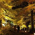 【一度は見たい紅葉百景】仙台の奥座敷・秋保温泉でライトアップイベント「アキウルミナ」開催