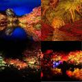 【一度は見たい紅葉百景】日本の秋を彩る紅葉＜ライトアップ編5選＞