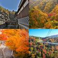 【一度は見たい紅葉百景】日本の秋を彩る紅葉＜温泉編8選＞