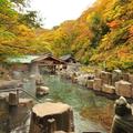 【一度は見たい紅葉百景】標高差があるから紅葉の期間が長い！みなかみ18湯で、山と水辺の紅葉を堪能　みなかみ