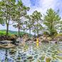 【ひとり、秘湯へ】田の中の秘湯で温泉三昧、連泊にぴったりの食堂も　五十沢温泉ゆもとかん