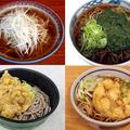 【旅と駅弁・駅麺】安い、早い、うまいを地で行く“駅麺”8店（1）