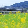 【鉄道ひとり（一人）旅】鉄旅の達人に聞く！ 早春の鉄道ひとり旅　西九州新幹線－長崎線－島原鉄道（旅の文筆家／蜂谷あす美）