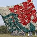 神奈川県相模原市が誇る伝統行事「相模の大凧まつり」5月4・5日に開催！