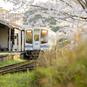 【鉄道ひとり（一人）旅】早春の富士山や沿線の花々を眺め、「鉄印帳 東海エリア版」6社を巡る＜伊豆箱根鉄道－岳南電車－ 静岡鉄道－天竜浜名湖鉄道 －遠州鉄道－大井川鐵道＞