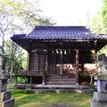 鳥取の神社巡りで開運祈願🐎　自分だけのご利益グッズも