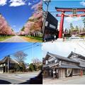 【歩く旅】東日本の美しい道　4選＜二十間道路桜並木・笠間・信濃町・村上＞