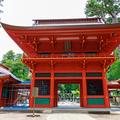 令和八年 鹿島神宮式年大祭「御船祭」12年に一度 極彩色の水上祭典（1）
