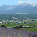 【絶景＆グルメ 観光列車の旅】コラム　さよならノロッコ号～私を原点へと連れ戻す列車～（鉄道カメラマン・丸山裕司）