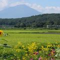 【お得きっぷで鉄道旅】東北６県をぐるりと周遊　夏に食べたい名物麺を訪ねて（1）～仙台発◎青春18きっぷ3日間～