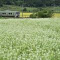 【お得きっぷで鉄道旅】東北６県をぐるりと周遊　夏に食べたい名物麺を訪ねて（2）～仙台発◎青春18きっぷ3日間～
